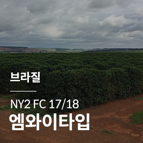 [브라질] NY2 FC 17/18 엠와이타입★봄맞이세일★