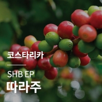 [코스타리카] SHB EP 따라주★BIG SALE★