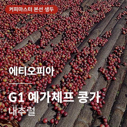 [에티오피아] G1 예가체프 콩가 내추럴★커피마스터 공식생두★