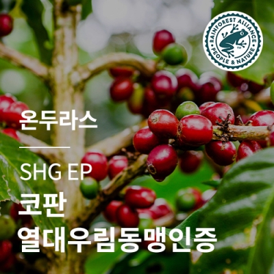 [온두라스] SHG EP 코판 열대우림동맹인증