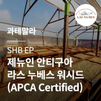 [과테말라] SHB EP 제뉴인 안티구아 라스 누베스 워시드 (APCA Certified)