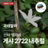 [과테말라] [산타 펠리사] SHB EP 게샤 2722 내추럴☆아울렛☆