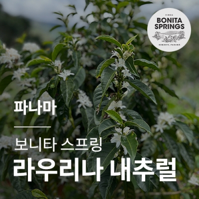파나마 [보니타스프링] 라우리나 내추럴 (500g)