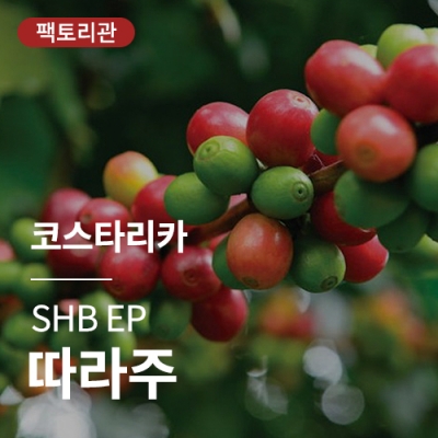 [코스타리카] SHB EP 따라주★20KG세일★